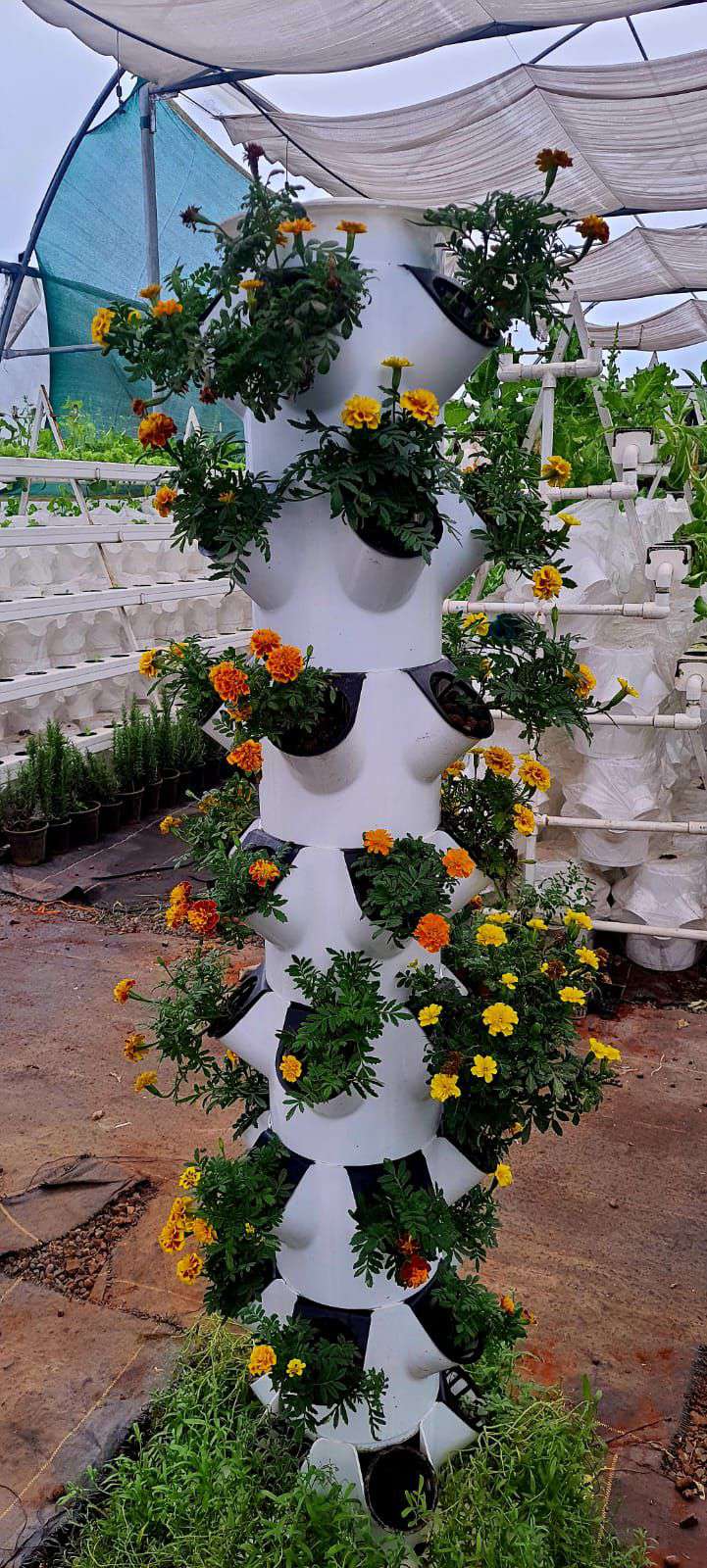 VertiGrowth tower blooming with marigold flowers