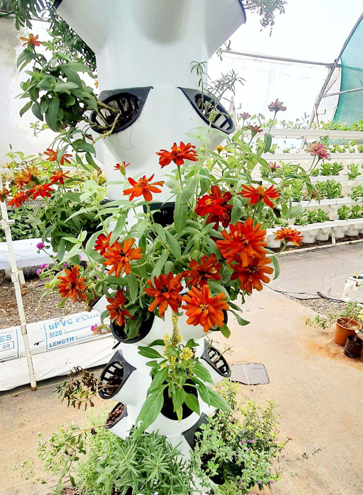 A VertiGrowth tower with flowers and green salad growing together