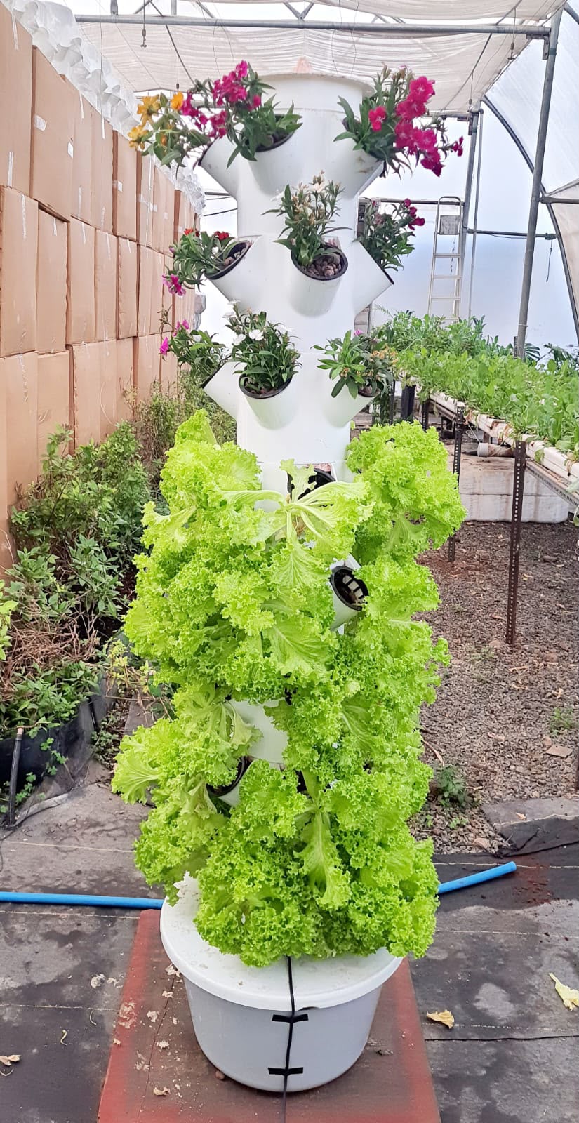 Custom Tower