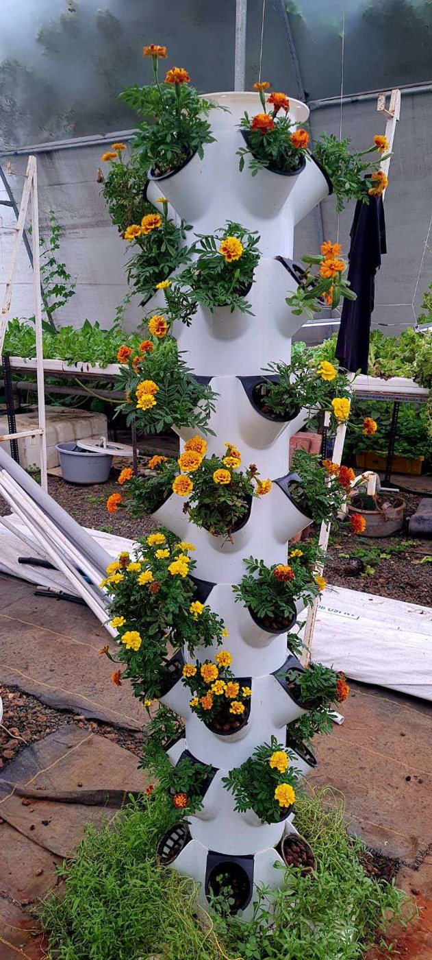 Outdoor VertiGrowth